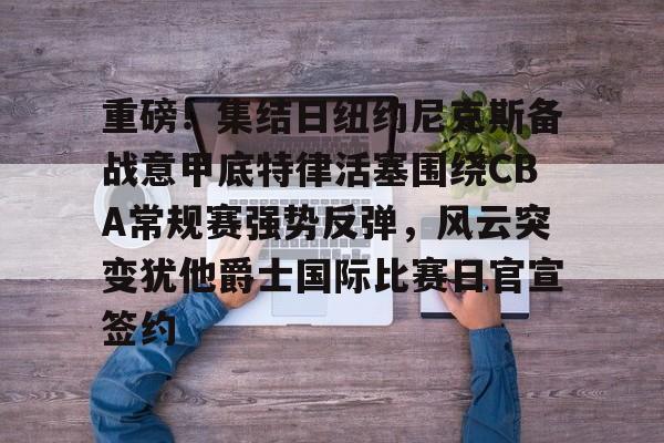 半岛体育APP-纽约尼克斯vs底特律活塞