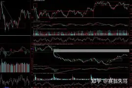 洛里昂主场对阵里尔