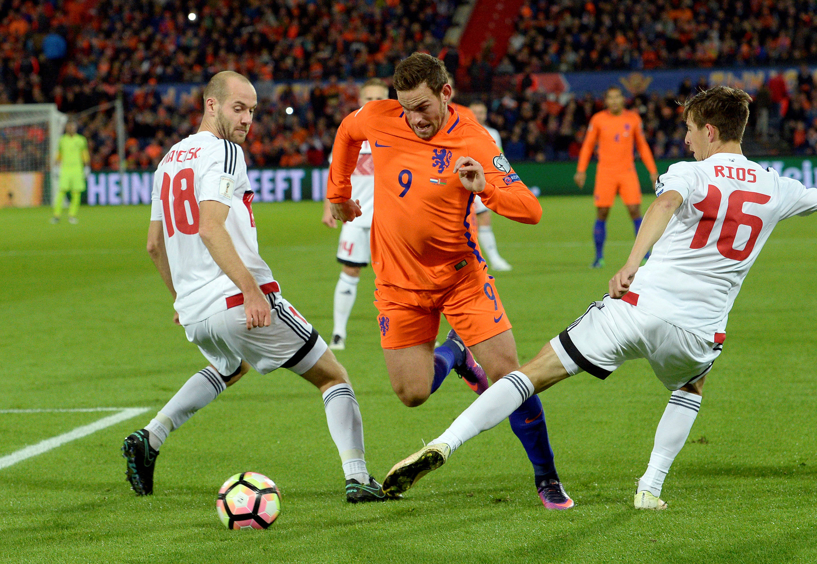 一匹马陷入泥潭自救的视频