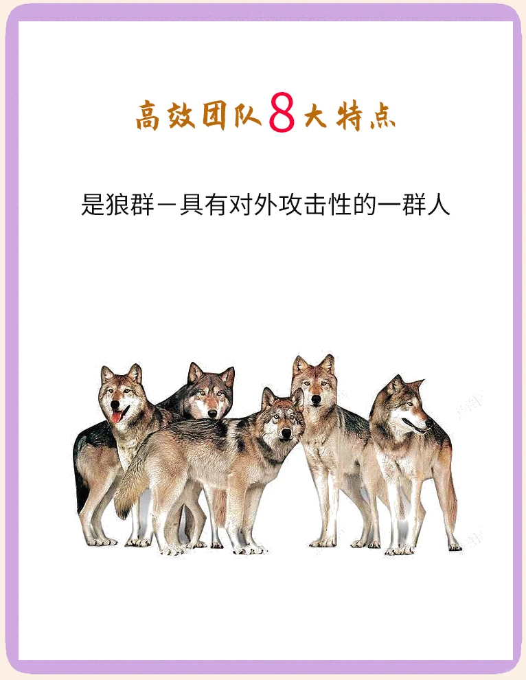 队伍的团结合作在比赛中彰显出巨大优势英语