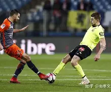 半岛体育-法国足球评选