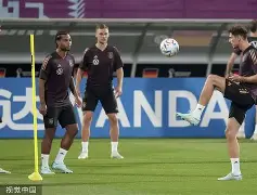 半岛体育-新奥尔良鹈鹕与波特兰开拓者