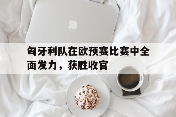 半岛体育APP-匈牙利欧预赛战绩