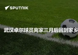 武汉卓尔冲超成功之后就解散了吗