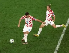 半岛体育官网-佩特科维奇足球教练