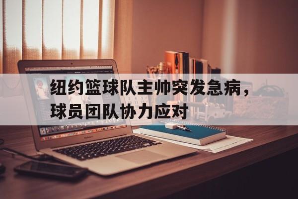 半岛体育APP-纽约篮球明星
