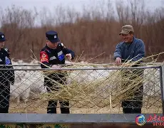 半岛体育娱乐-天津飞船击败内蒙古猎手队,取得胜利了吗